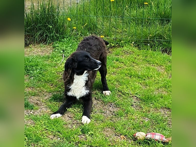 Luke möchte gerne Lucky Luke werden