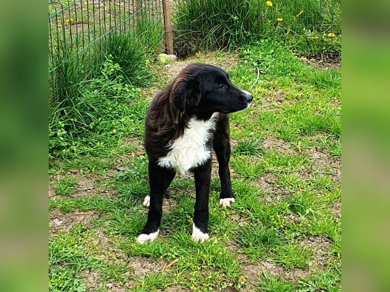 Luke möchte gerne Lucky Luke werden