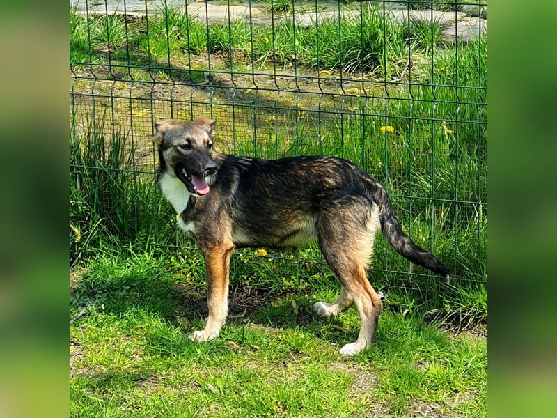 Siska die Freie