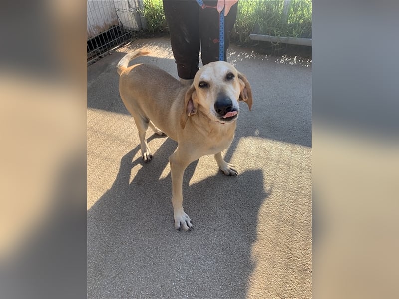 Happy Girl EMELY sucht eine eigene Familie!