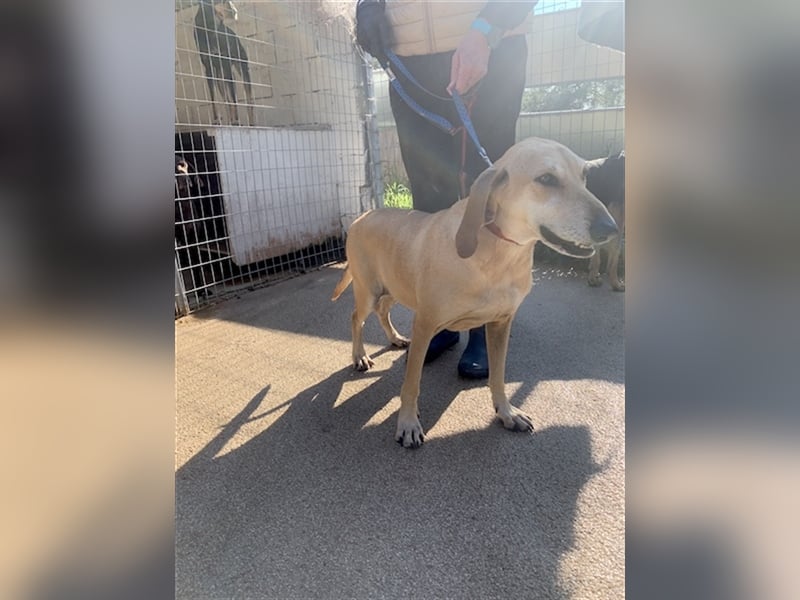 Happy Girl EMELY sucht eine eigene Familie!