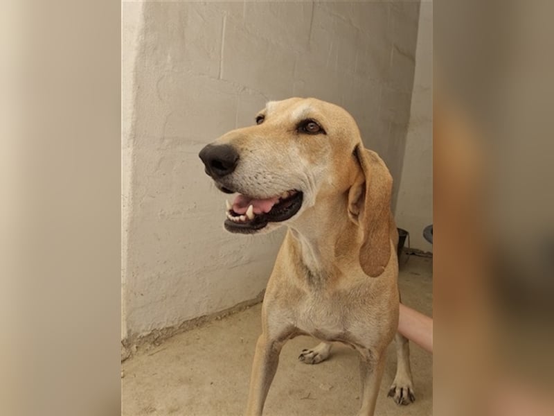 Happy Girl EMELY sucht eine eigene Familie!