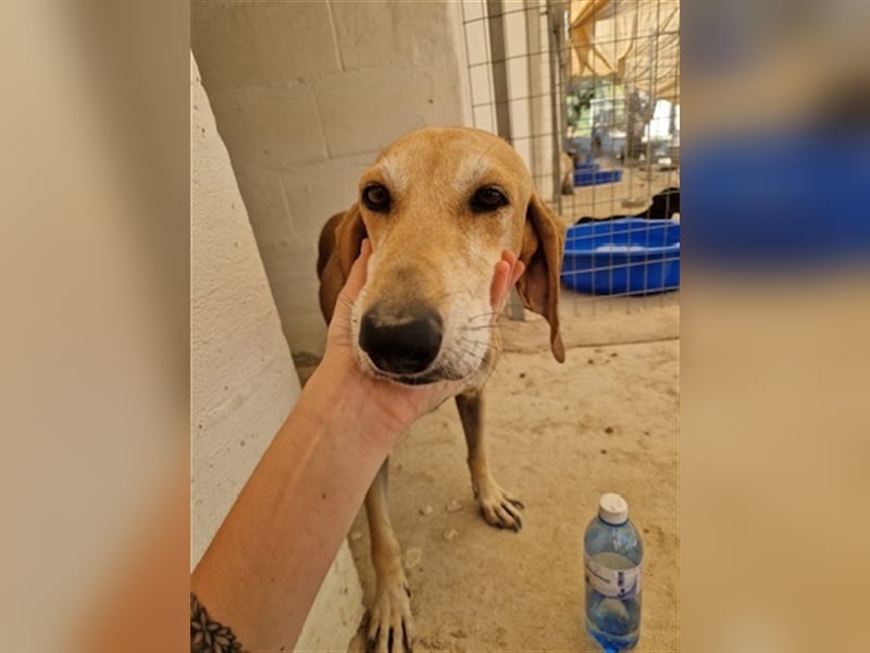 Happy Girl EMELY sucht eine eigene Familie!