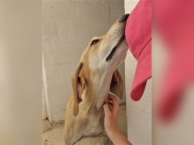 Happy Girl EMELY sucht eine eigene Familie!