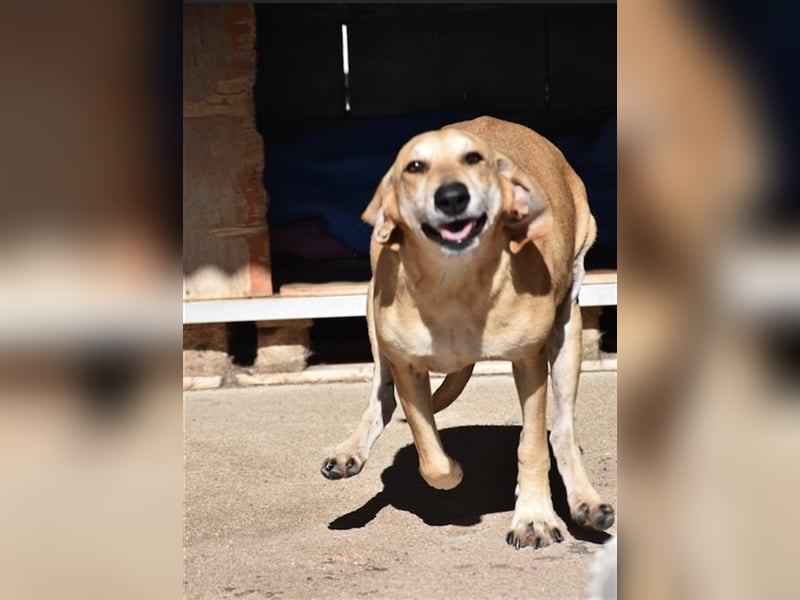 Happy Girl EMELY sucht eine eigene Familie!