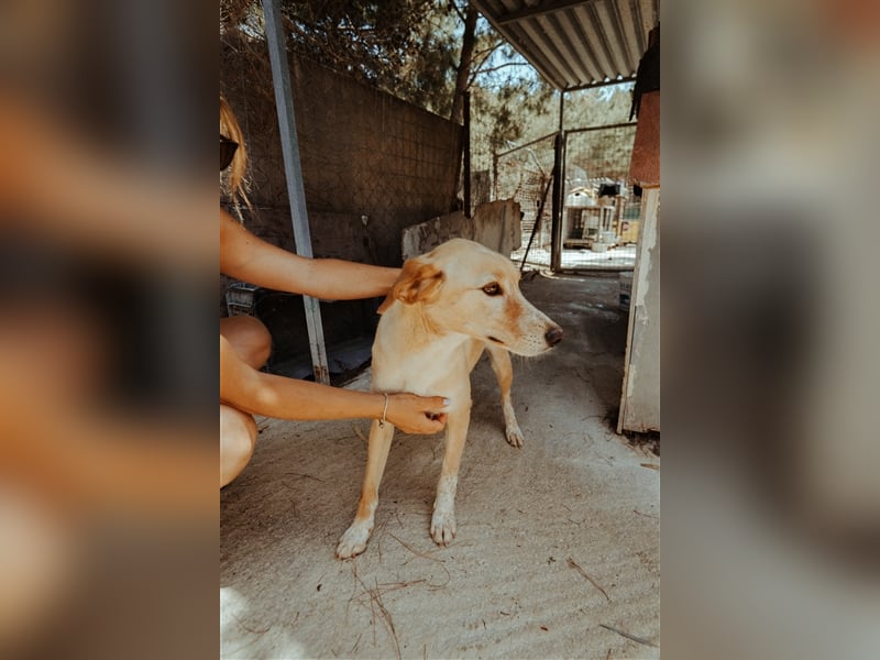 Happy Girl EMELY sucht eine eigene Familie!