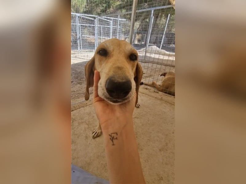 Happy Girl EMELY sucht eine eigene Familie!