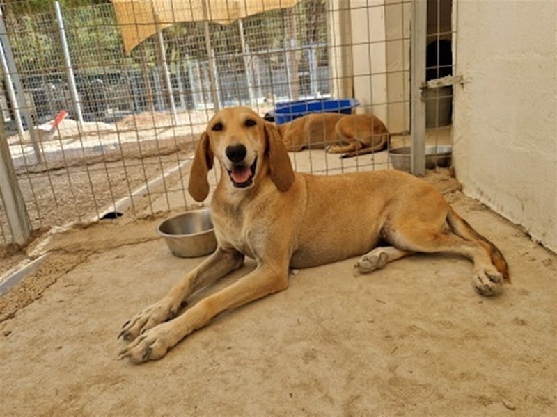 Happy Girl EMELY sucht eine eigene Familie!