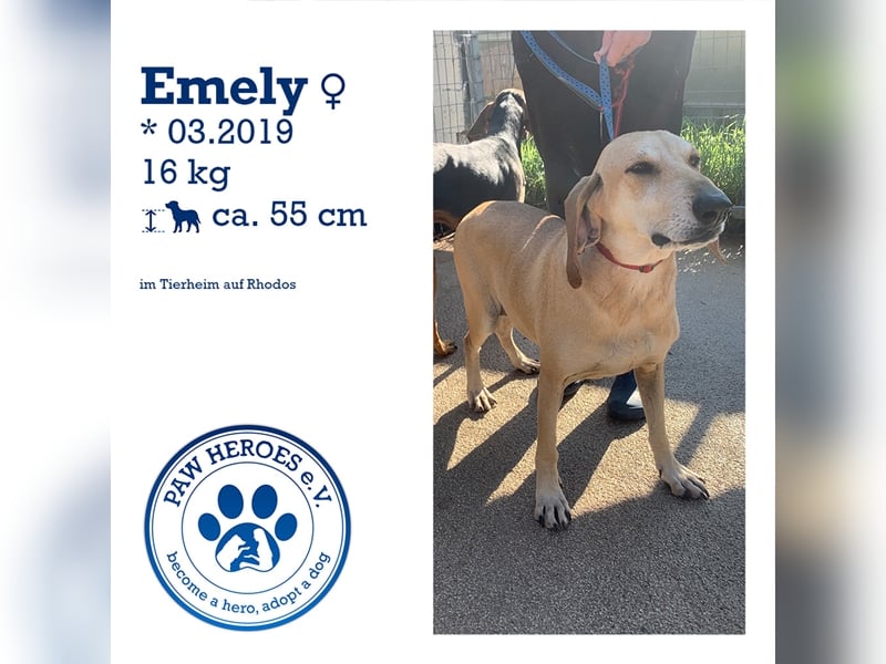 Happy Girl EMELY sucht eine eigene Familie!
