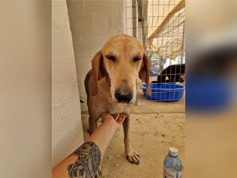 Happy Girl EMELY sucht eine eigene Familie!