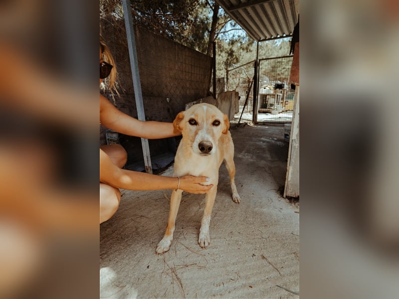 Happy Girl EMELY sucht eine eigene Familie!