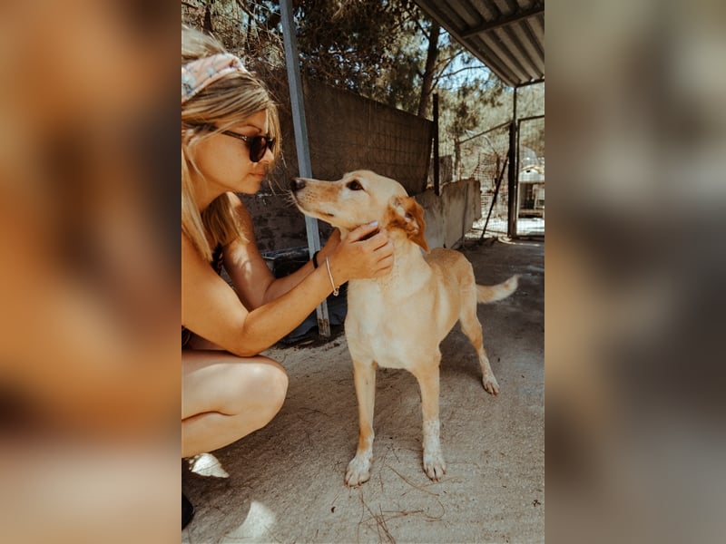 Happy Girl EMELY sucht eine eigene Familie!