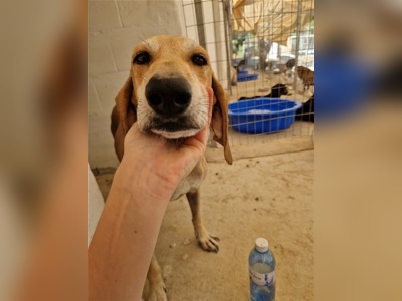 Happy Girl EMELY sucht eine eigene Familie!