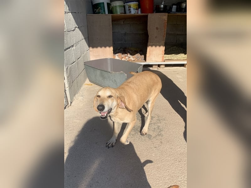 Happy Girl EMELY sucht eine eigene Familie!