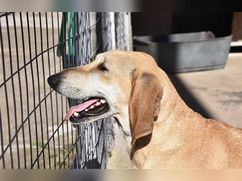 Happy Girl EMELY sucht eine eigene Familie!