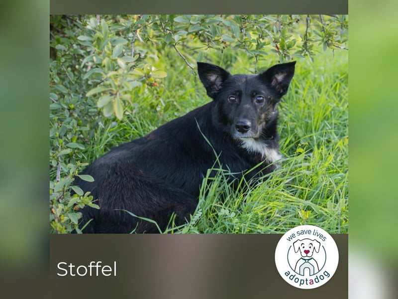 hip 269567: sucht ein Zuhause