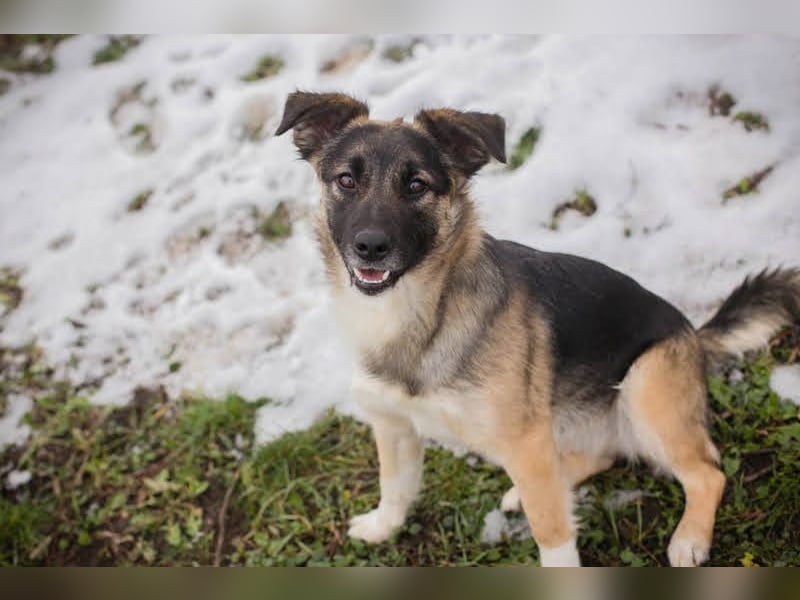 Suki: Name ist Programm - zum Lieben