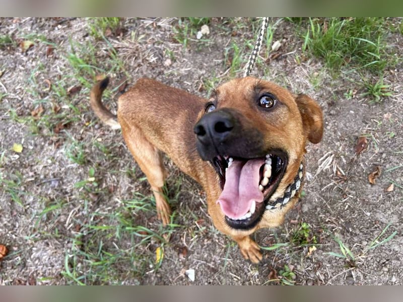 Christoffer: Sucht ein Zuhause