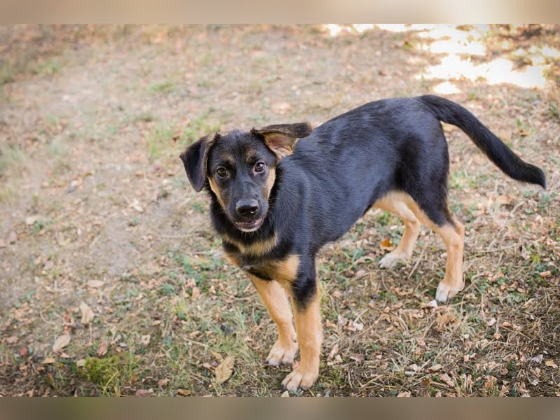 Mitja: Neugierige Frohnatur