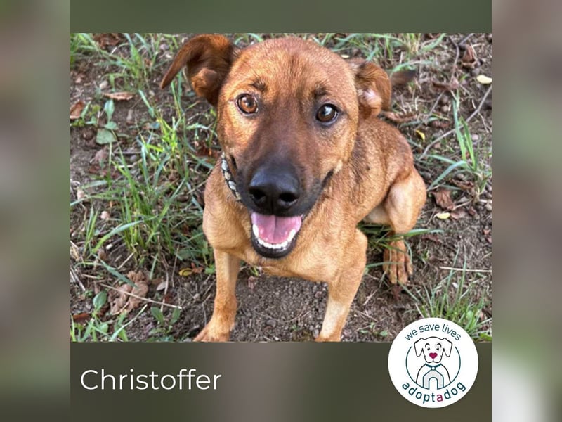 Christoffer: Sucht ein Zuhause