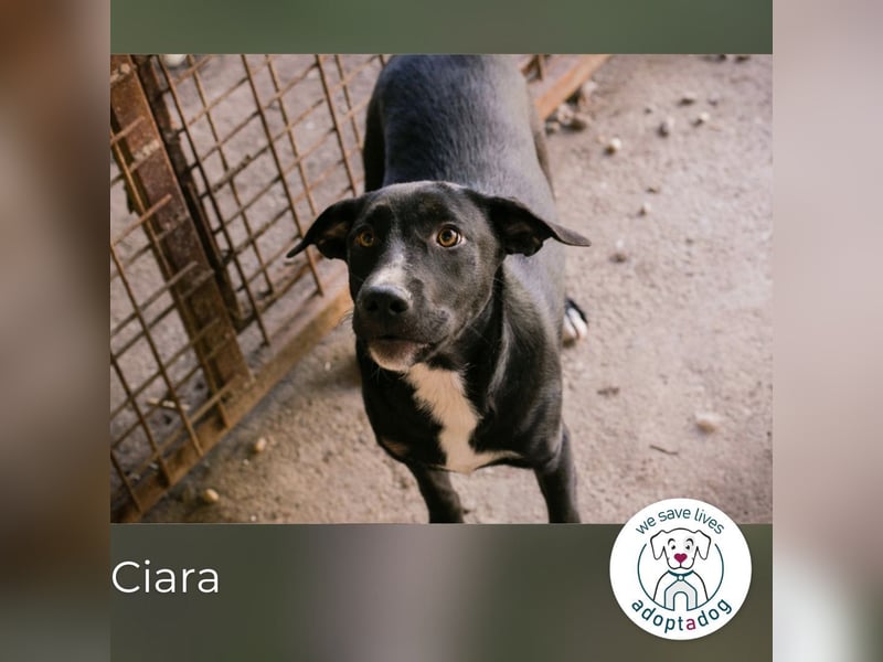 Ciara: Noch etwas ängstlich