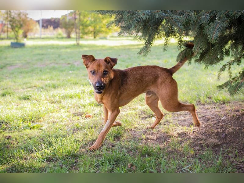 Christoffer: Sucht ein Zuhause