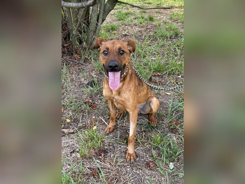 Christoffer: Sucht ein Zuhause