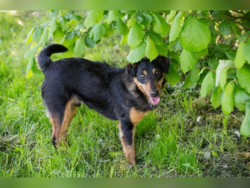 Skibby: Fröhlich trotz Enttäuschung