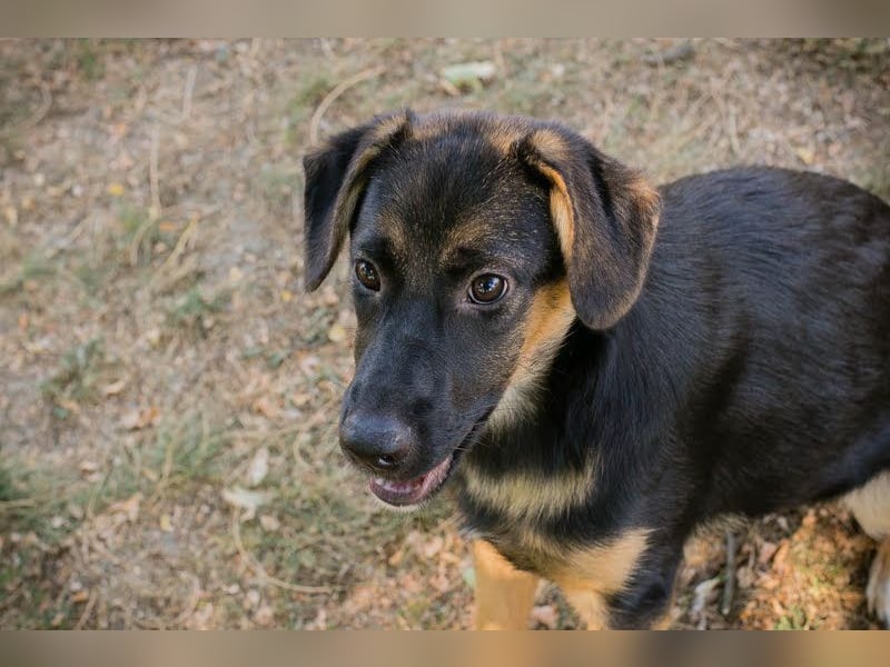 Mitja: Neugierige Frohnatur