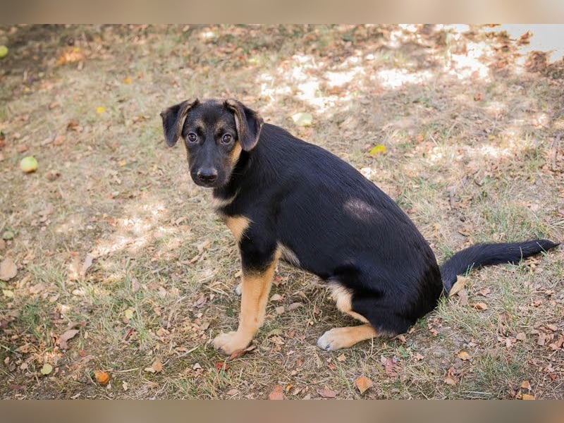 Mitja: Neugierige Frohnatur