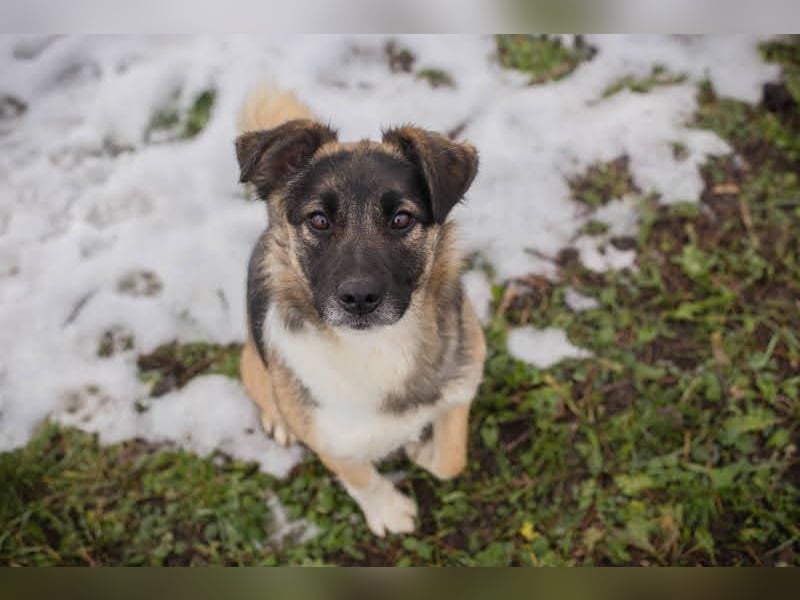 Suki: Name ist Programm - zum Lieben