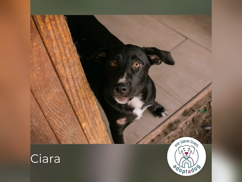 Ciara: Noch etwas ängstlich