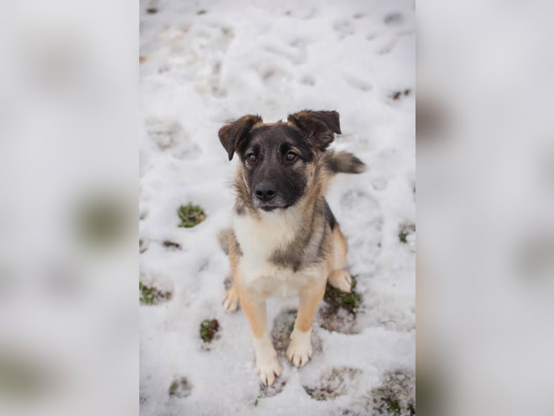 Suki: Name ist Programm - zum Lieben