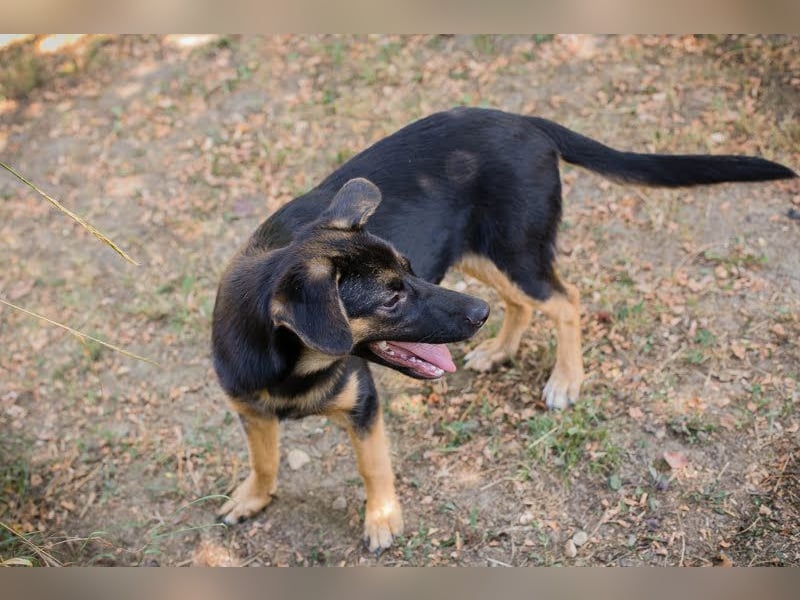 Mitja: Neugierige Frohnatur