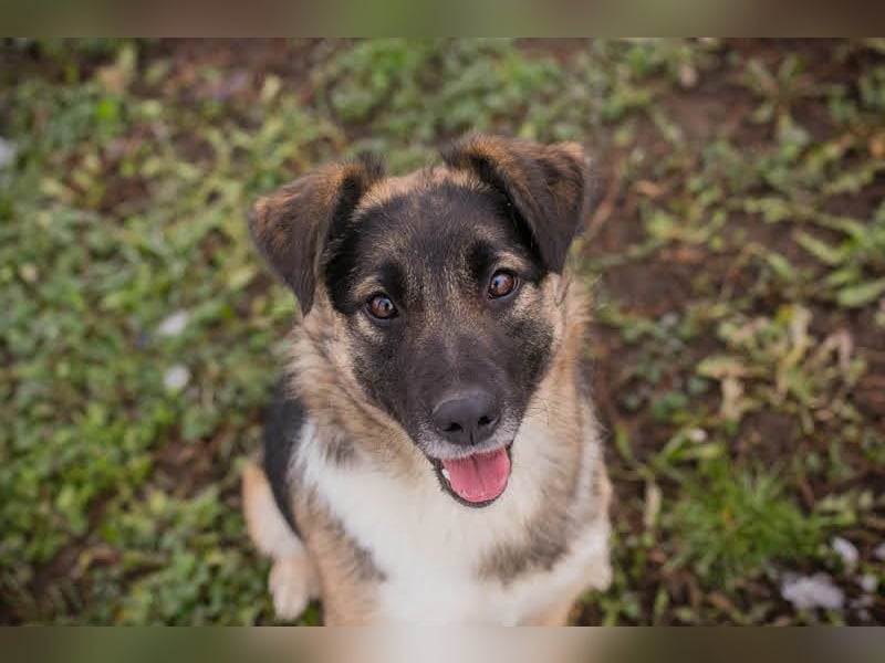 Suki: Name ist Programm - zum Lieben