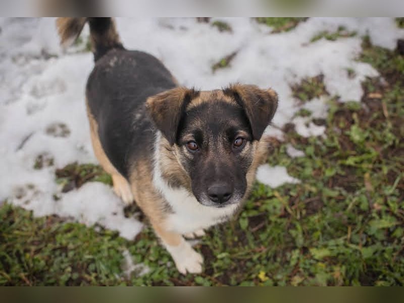 Suki: Name ist Programm - zum Lieben