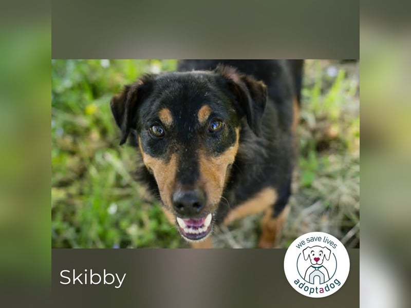 Skibby: Fröhlich trotz Enttäuschung