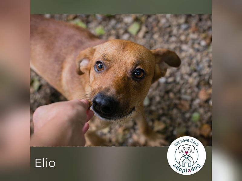 Elio: Gemeinsam statt einsam