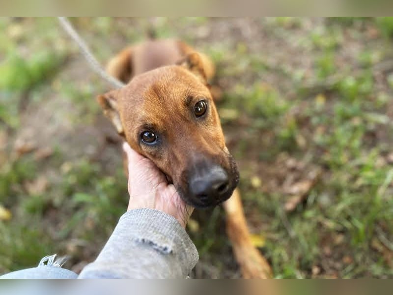 Christoffer: Energiebündel mit großem Herz