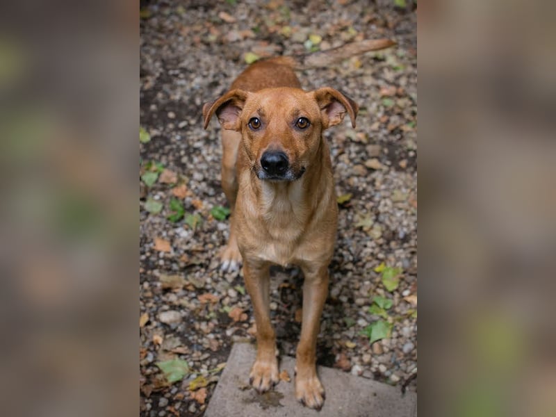 Elio: Gemeinsam statt einsam