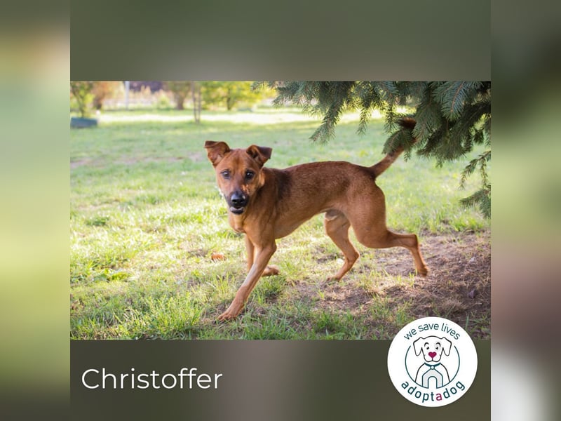 Christoffer: Energiebündel mit großem Herz