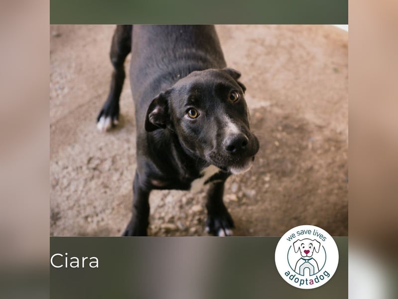 Ciara: Noch etwas ängstlich