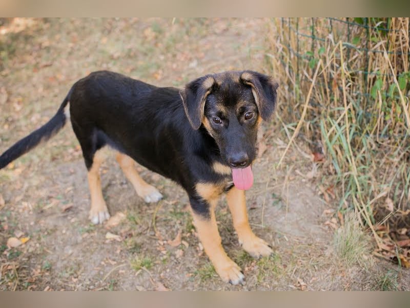 Mitja: Neugierige Frohnatur