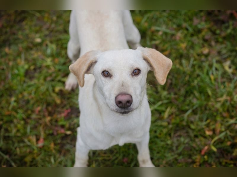 Frieda sucht ein Zuhause