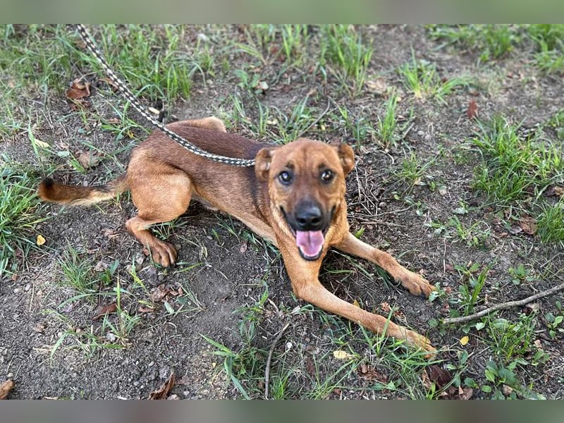 Christoffer: Sucht ein Zuhause