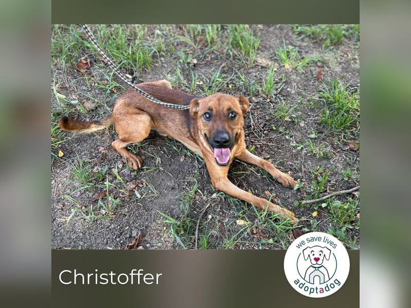 Christoffer: Sucht ein Zuhause