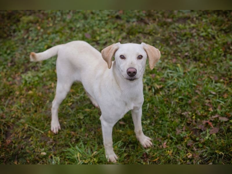 Frieda sucht ein Zuhause