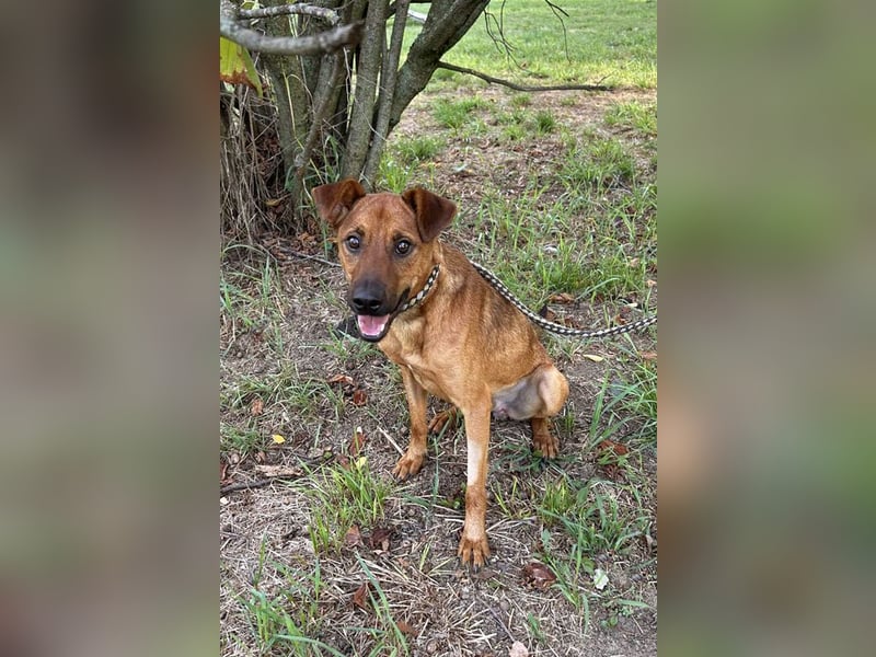 Christoffer: Sucht ein Zuhause