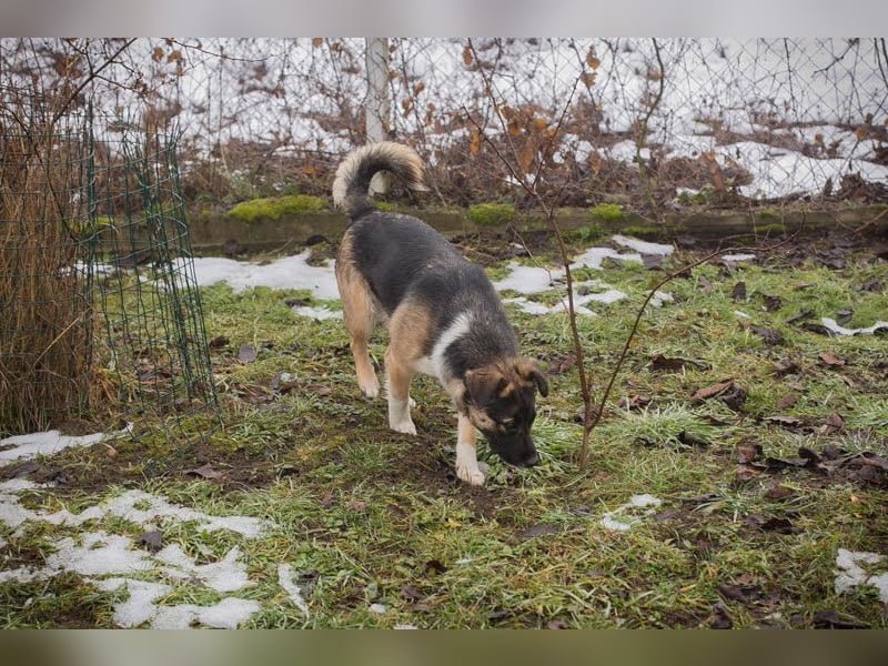 Suki: Name ist Programm - zum Lieben