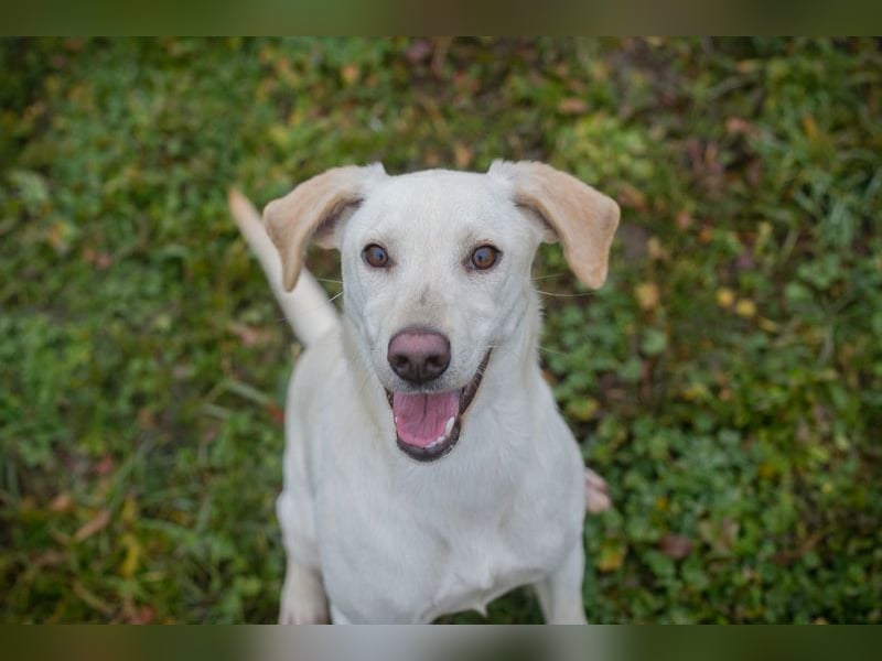 Frieda sucht ein Zuhause